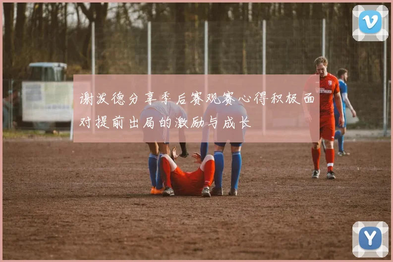 谢泼德分享季后赛观赛心得积极面对提前出局的激励与成长